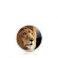 Mac OSX LIon